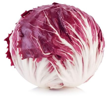 30 graines de légumes de radicchio