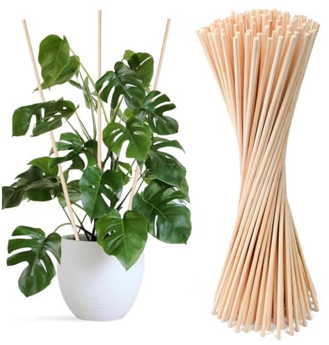 Huucozn 100 Pezzi Bastoncini per Piante in Bambù da 40 cm Supporti per Piante in Vaso in Bambù Pali per Piante da Giardino Bastoncini per La Coltivazione di Piante per Sostegno Fiori in Vaso