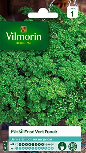 Vilmorin - Persil frisé Vert foncé - Aromatique incontournable- Culture en Pot ou Jardin - apports nutritifs intéressants -Culture Facile - rendement jusqu'à 2x2m