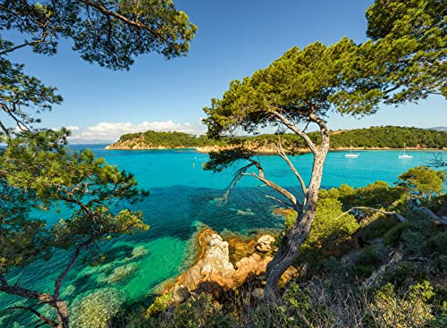 Ravensburger Puzzle 16583 - Schöne Aussicht - 500 Teile Puzzle für Erwachsene und Kinder ab 12 Jahren