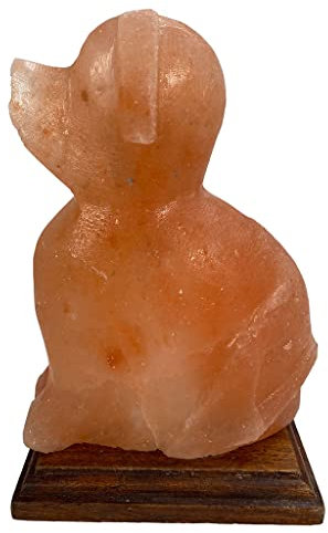 SudoreWell® Salzkristall Lampe Salzlampe 'Hund/Dog' aus der Salt Range Pakistan by Salzarena