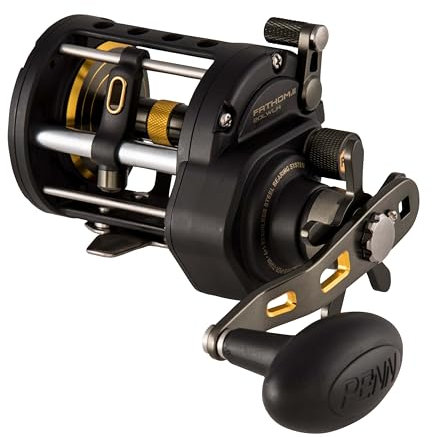 PENN Fathom II Level Wind Multirollen, Black Gold