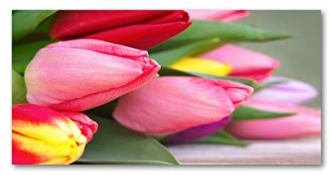 Tulup Picture Wall Art 100x50cm Image Printed Acryl Decorative Wall Picture Plastic/Acrylic Glass for Kitchen & Living Room Colorful tulips