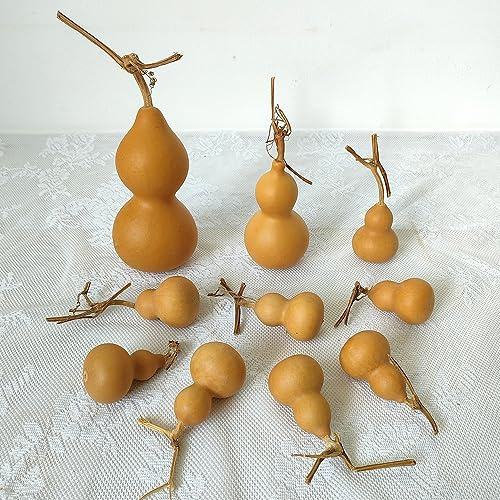 GHY Decor Natural Dry Bottle Cute Dried Gourd Ornament Adornment Decorative Desktop Decor Original DIY Crafts (10 pcs)