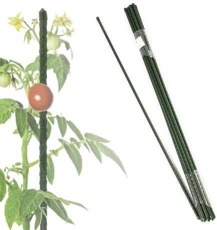 FLOORDIREKT Lot de 10 tuteurs de 120 cm pour plantes grimpantes, tomates, concombres ou fleurs - Support pour plantes d'intérieur - En métal - 11 mm