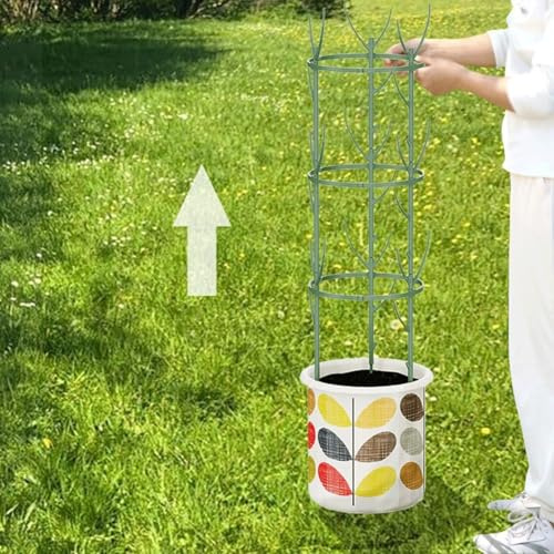 Lot de 5 piquets empilables pour plantes d'intérieur et d'extérieur - Support Monstera Pothos Philodendrons - Hauteur réglable pour éviter les dommages aux plantes (5 poles)