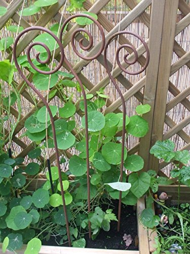 Set, 3 Stück, Gartenstab Schnecke, Rankstab, Rosenstab,Rost,100 cm, Eisen
