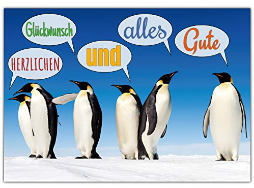 A4 XXL Glückwunschkarte PINGUINE mit Umschlag - edle Klappkarte geeignet für alle Anlässe wie Geburtstag Hochzeit Baby Jubiläum Karte von BREITENWERK