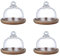 Tagtight 4 Piezas de Campana para Tartas con Tapa, Mini Campana de Cristal, Postre, Cupcake, Bandeja para Servir Queso, Alimentos, Soporte para Tartas para Bodas cumpleañ