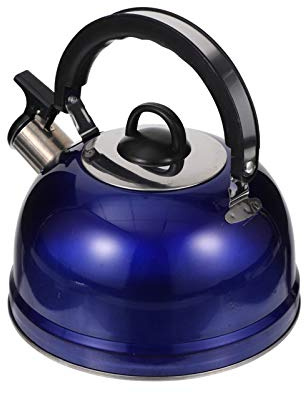 Pfeifender Teekessel 3 L aus Edelstahl und Kunststoff Blau | 1 Stück, zum Erhitzen von Gewürztem Heißgetränk und Kaffee, für Induktionsherd und Andere Kochfelder Zufälliger Stil