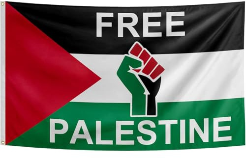 Free Palestine Drapeau de la Palestine avec œillets en laiton 150 x 90 cm - Drapeau résistant aux intempéries pour mât de drapeau extra large et long XL XXL