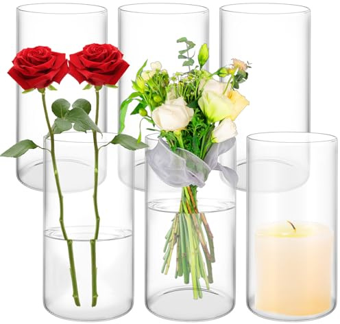ZOFUN 6 Stück Glas Blumenvase Modern Zylinder Vase Glasvase Zylinder Runde, 20x10CM Glas Blumenvase Vasen Vase Groß für Orchideen, Rosen, Tulpen, Pampasgras, Tischdeko, Kerze etc