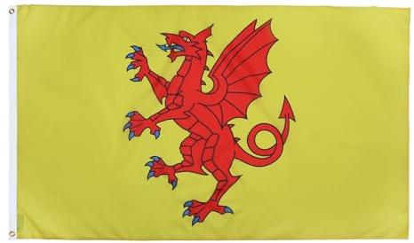 AZ FLAG Drapeau Comté de Somerset 150x90 cm Polyester 100D 2 Œillets | Usage intérieur et extérieur Drapeau décoratif de Somerset New coutures doubles et bords renforcés avec œillets métalliques