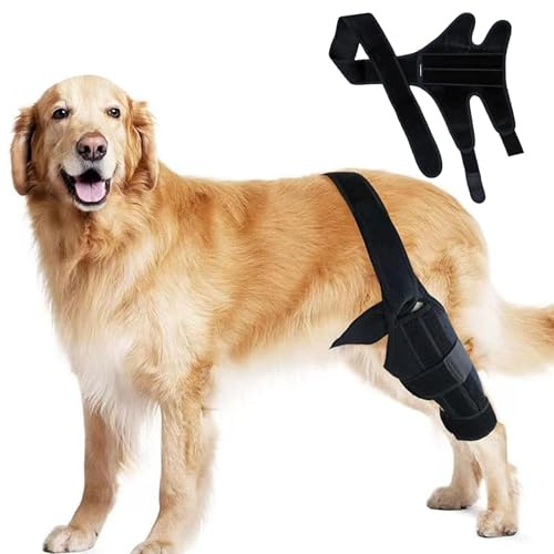 Rodillera Para Perros, Protector De Rodilla Para Perros | Soporte Negro Ajustable Para La Pierna Trasera - Cómodo Protector De Rodilla Para El Cuidado De Lesiones En Las Piernas, Evitando Heridas Por