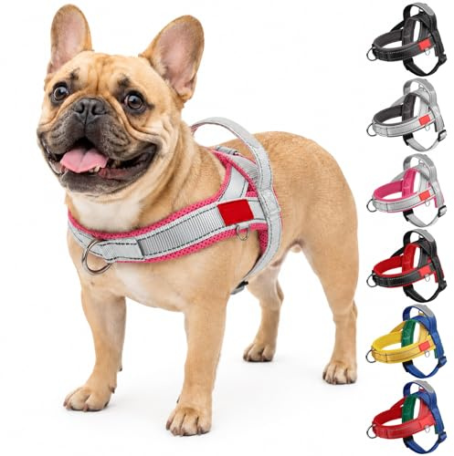 Olcyren Harnais Anti Traction pour Chien de Taille Petit et Moyen, Harnais Chiot Réglable pour Chiens avec Poignée de Contrôle, Gilet Réfléchissant Respirant Facile à Mettre (Gris Rose Rouge, L)