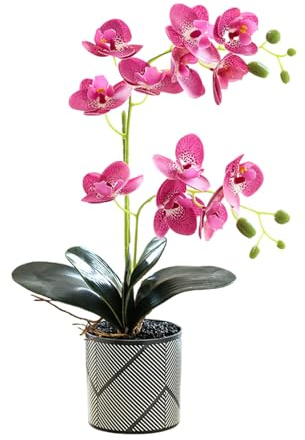 Genérico Orquídea Artificial Morada de Dos Puntas de 12 pétalos Flor Decorativa Phalaenopsis Blanca Orquídea Artificial Naranja Realista en Maceta Mariposa Blanca de Imitación (Morado)