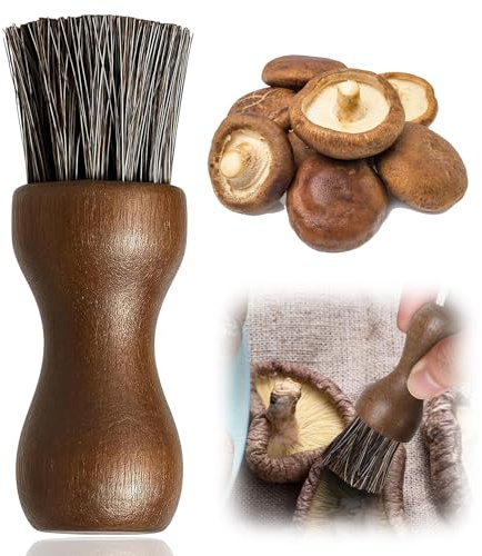 MOLIMOLI Cepillo para Hongos y Verduras, Cuchillo con Hongos, Papas de Cocina Champiñones (Rebozuelos) Cerdas Naturales Vegetales, Resistente al Calor