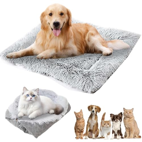 GOEDCH Cuscino per gatti 2 in 1: 61 cm x 51 cm, morbido letto per gatti con cuscino rimovibile, cuccia per cani e gatti, colore: grigio
