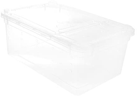 BCOATH Insekten Fütterungsbox Transparente Reptilienbox Zuchtbox Für Spinnen Eidechsen Skorpione Insekten Insektensammlung Mit Belüftungsslots Pet Habitat Container
