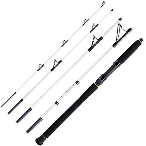 WFT Salzmeister Coastal Jigger 2,75m 40-160g 5pc.