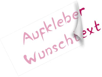 Generisch Aufkleber selbst gestalten Schriftzug Aufkleber Wunschtext Sticker selbst gestalten Autoaufkleber ab 10cm bis 100cm #008