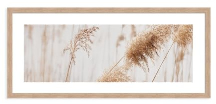 artissimo gerahmtes Poster 70x30 cm Pampasgras AG6628A – Bild mit Rahmen, Wandbild Wohnzimmer, Deko skandinavisch, Wanddeko Panorama-Format Gräser Natur beige weiß