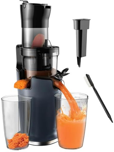 pealiritansemen Cold Press Masticating Juicers For Variety Of Fruits And Vegetables, Dual Channel Juice & Dregs Separation, Removable Design, For Making All Kinds Of Fruit/Vegetable Juices