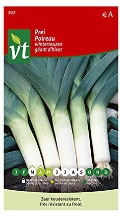 Giant Winter Leek Seeds per gram - Nutritional and Culinary Value - 5 g - Seeds per gram: 350