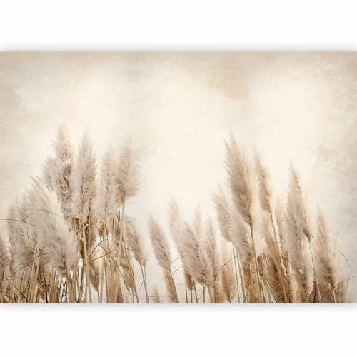 murando PREMIUM Papier peint Herbe de la pampa 100x70 cm Décoration Murale XXL Poster Tableaux Muraux Tapisserie Photo Trompe l'oeil Natur Champ Prairie b-A-10095-a-a