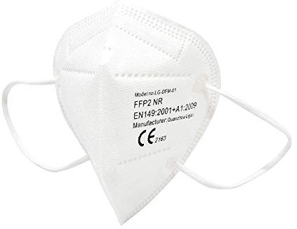 25 Mascherine Protettive FFP2 Certificate CE in TNT Filtrante 5 Strati Mascherine sigillate singolarmente