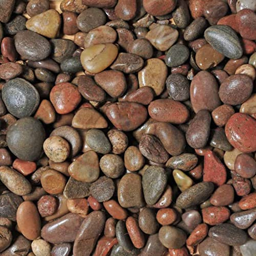 Elixir Gardens Decorative Coloured Scottish Pebbles Cobbles Stones Paddlestones Gravel Chippings Aggregate Various Sizes 1kg-1000kg | (5kg, Scottish Pebbles 20-40mm)