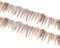 60 carámbanos Nácar Perlas Conchas 20 – 40 mm Blanco/Krem Joyas Desing u201
