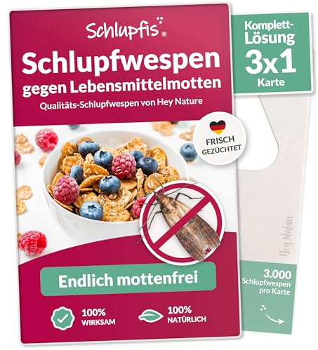 Schlupfwespen gegen Lebensmittelmotten - Komplett-Kur mit 3 Karten | (1 Karte à 3 Lieferungen) | Motten effektiv + natürlich bekämpfen INKL. BERATUNG | Alternative zu Mottenfallen, Mottenspray