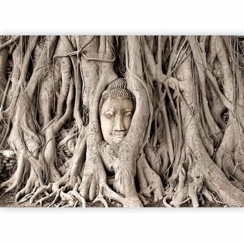 Fotomurales B&D XXL - 350x256 cm XXL Papel pintado tejido no tejido Decoración de Pared decorativos Murales moderna de Diseno Fotográfico Buda arbol h-B-0061-a-a