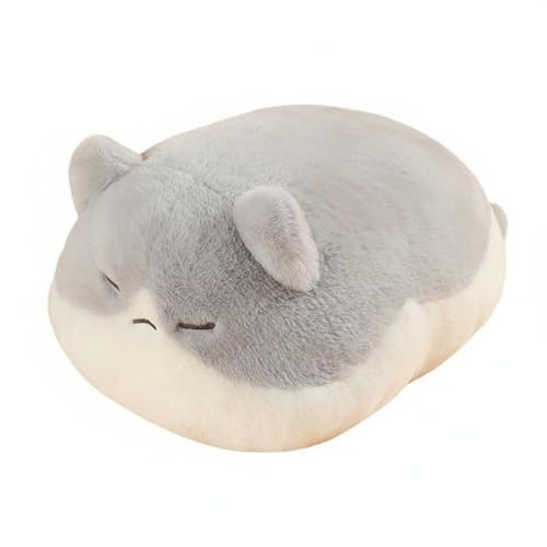 Guohetuk Katzen Plüschfigur Plüschkatze Schmusekissen Stofftier Kuschelspielzeug mit Rundem Döschen-Design für Kinder Erwachsene Büro, Grau+Weiße Katze