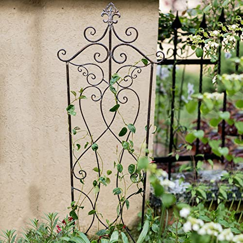 Rankhilfe Garten Kletterhilfe Rankzaun Rankgitter Rankhilfe Beeteinfassung Rosengitter Beetzaun Rundbogen Spalier Pflanzengitter Blumengitter für Kletterpflanzen Gartendeko ( Color : Vintage Black )