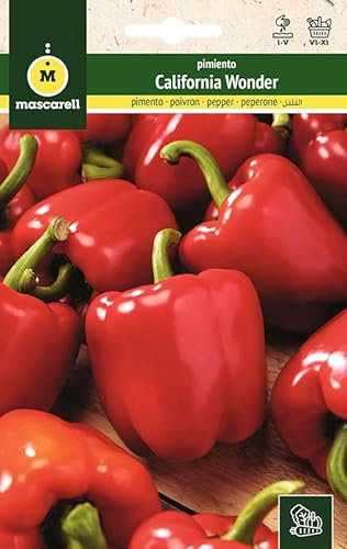 Mascarell Semillas, PIMIENTO, Semillas Huerto, PIMIENTO CALIFORNIA WONDER, Crea tu Propio Huerto Urbano y Cultivo en Casa, Plantas Hortícolas, 1 Gramos