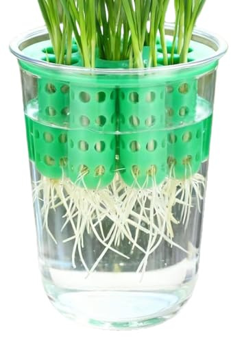 Vaso per cipolline Vassoio Idroponico Riutilizzabile per Germogli di