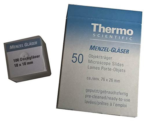 Set Objektträger (50 Stück) und Deckgläser (100 Stück)