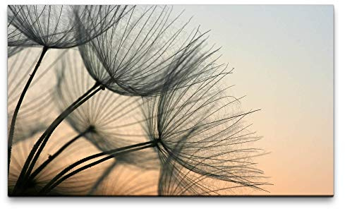 Paul Sinus Art Bilder XXL Pusteblumen 120x70cm Wandbild auf Leinwand