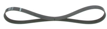 BOSCH Keilrippenriemen 1987946132 | Kompatibel mit: FORD C-MAX, FOCUS C-MAX, FOCUS II, FOCUS II Cabriolet, FOCUS II Stufenheck, FOCUS II Turnier, FOCUS III