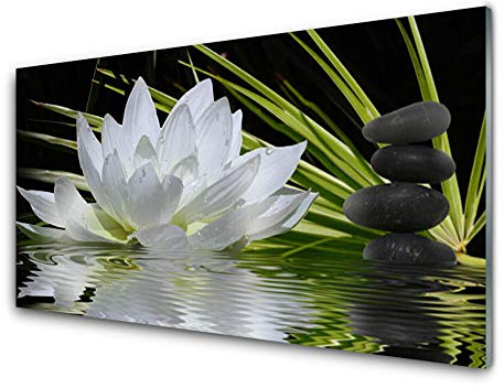 Tulup Impression sur Verre Trempé 100x50cm - Plastique Imprimés Tableau Décoration Déco Mural Moderne Design - Fleur Pierres Eau Florale