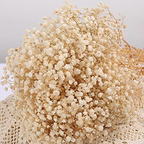 Bouquet di fiori di fiato, bouquet di fiori secchi, 43.7 cm + 2000 fiori bianchi avorio, rami di gypsophila naturali per matrimoni, ghirlanda floreale, decorazione per feste in ufficio
