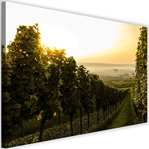 Leinwandbild XXL Landschaft Wandbild Kunst Weinrebe Natur Grün 120x80 cm