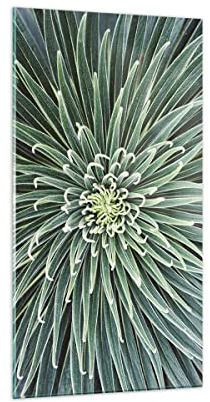 ARTTOR Quadri Moderni su Vetro 65x120 cm Verticale Botanica Fiori - 4905
