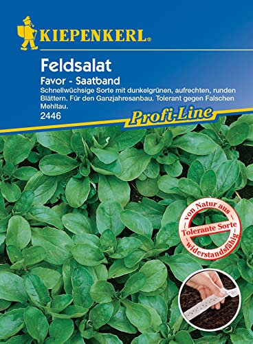 Kiepenkerl 2446 Feldsalat Saatband Favor | Ganzjahressorte | Schnellwüchsig | Feldsalat Samen Saatband | Saatband Salat