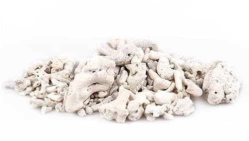 200G Natural Arrecife Coral Bone Acuario Filtro Medio material biológico arenas de coral para pH constante, filtración de acuario