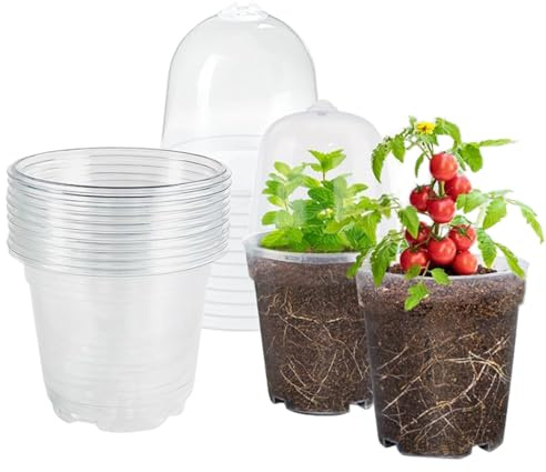 10 Stück Anzuchttöpfe Rund mit Feuchtigkeitskuppel und Deckel, blumentopf klein plastik，10.5cm Ø Klar - Kunststoff Pflanztöpfe für Sukkulenten, Orchideen, Samen und Stecklinge (Transparent mit Deckel)