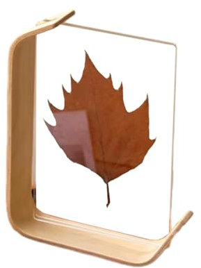 DFZHiuat Cadre photo personnalisé double face transparent acrylique petit ornement bois