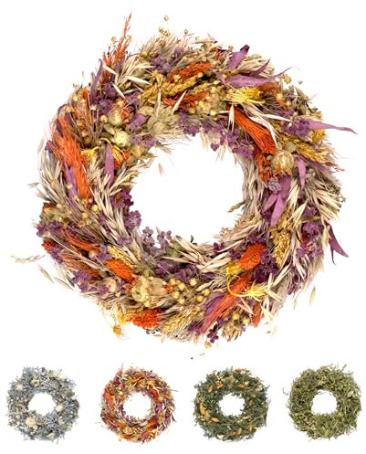 PHILARO Trockenblumenkranz All Seasons Ø 29cm bunt - kein Plastik I Trockenblumen Premium Qualität aus Europa - Türkranz - Tischkranz - Wandkranz - Trockenblumenkranz